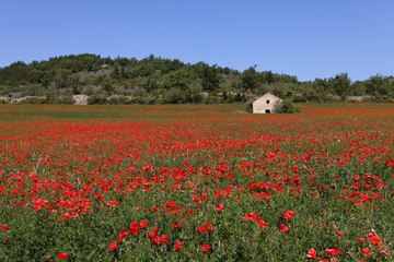 Terrains privés non constructibles : en Corrèze, les écolos vivent au-dessus des lois
