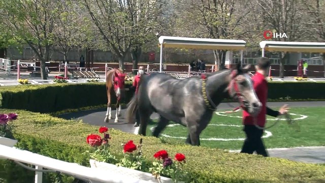 At yarışlarında ilkbahar - yaz sezonu açıldı