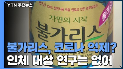 남양유업 '불가리스 코로나 억제' 주장..."효과 없고 성급한 발표" 비판 / YTN