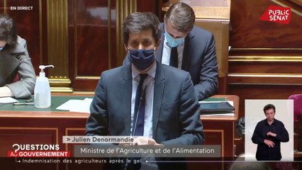 Gel des récoltes : "Il faut que l'on prenne des mesures d'accompagnement social"