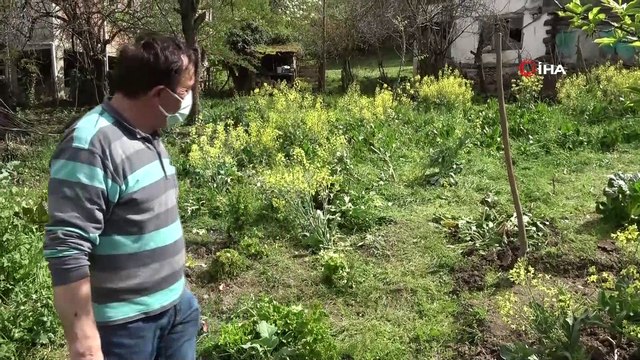 Samsun'da koca dehşeti...Karısını tarlada tüfekle vurarak öldürüp, intihara kalkıştı