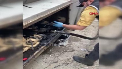 Son dakika haberleri | İZMİR'DE KAÇAKÇILIK OPERASYONLARINDA 5 GÖZALTI