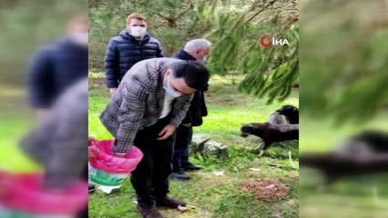 Sarıyer'de hayvanseverlerden belediye ve İBB’ye sokak hayvanı tepkisi