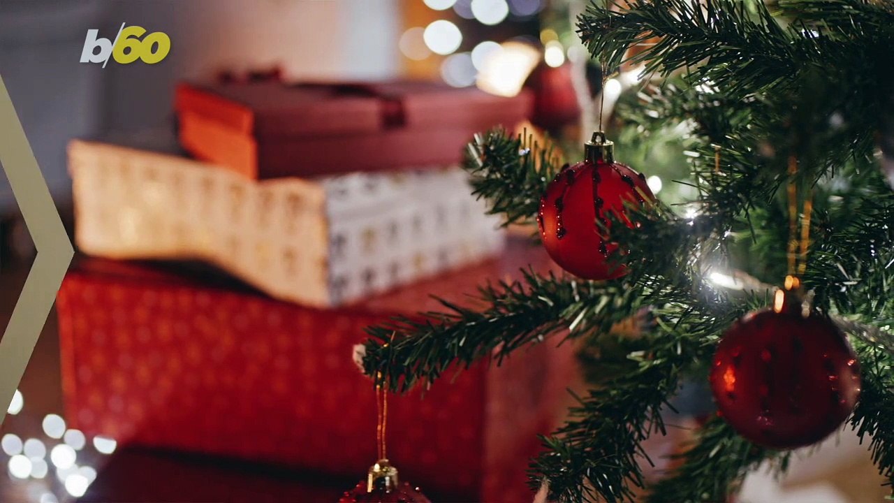 Guilty Looking Pups! These Adorable Doggies Try Really Hard to Look Innocent After Making a Mess