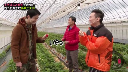 かまいたちの掟 2021年4月14日 一粒800円！？超高級イチゴを食べまくり