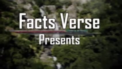 Most Dangerous Railway Bridges In The World