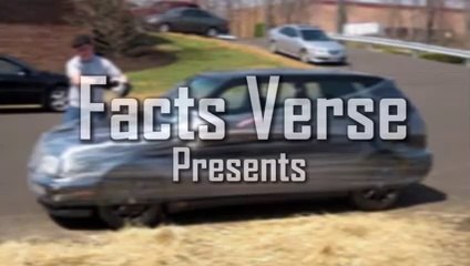 People Who Are Brilliant At Pranking