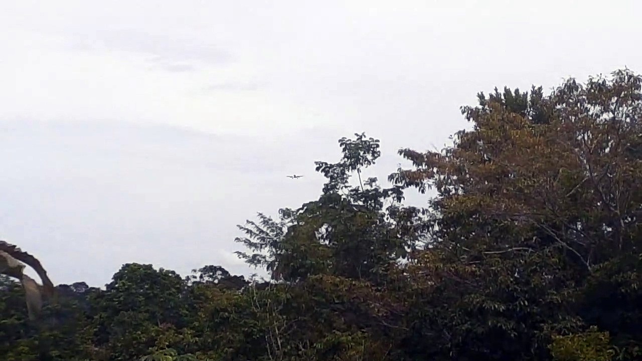 Airbus A330 PR-AIW na aproximação final antes de pousar em Manaus vindo de Campinas