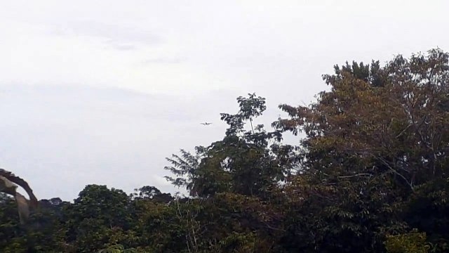 Airbus A330 PR-AIW na aproximação final antes de pousar em Manaus vindo de Campinas