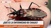Qué es la enfermedad de Chagas