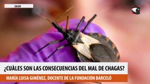 Cuàles son las consecuencias del Mal de Chagas