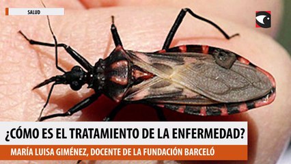 Cómo es el tratamiento de la Enfermedad