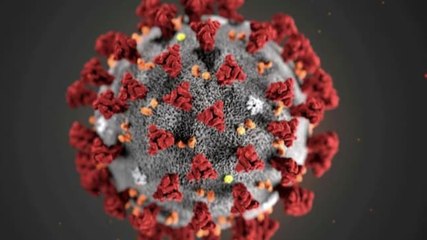 Second Covid wave: Will it get worse in next one month? 