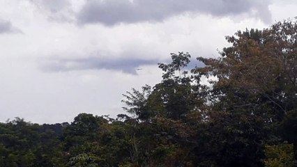 Boeing 737 MAX 8 PR-XMC na aproximação final antes de pousar em Manaus vindo de Brasília