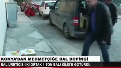 'Mehmetçik Afrin'de bal çalıyor' yalanı işte böyle çürüdü!