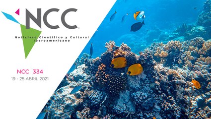 Noticiero Científico y Cultural Iberoamericano, emisión 334. 19 al 25 de abril del 2021