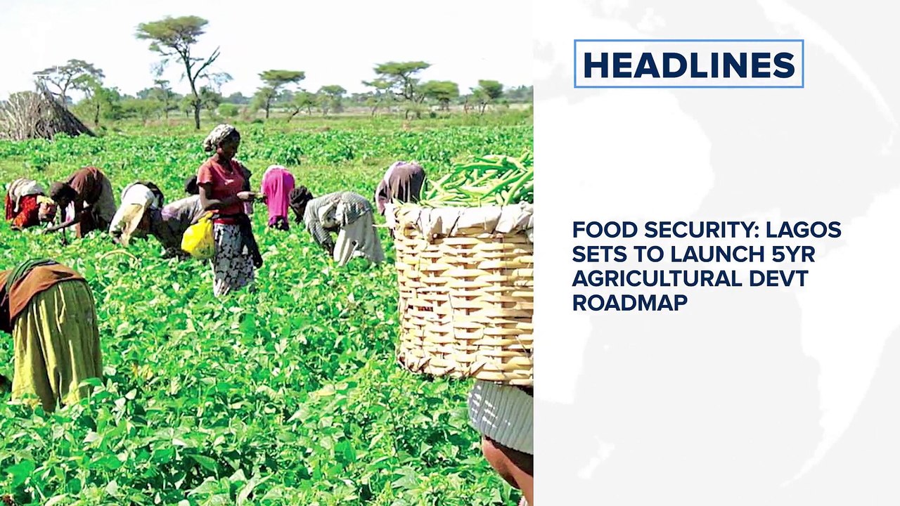 Scammers steal profiles of JAMB’s adhoc staff, divert over N10m and more