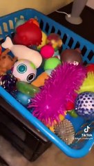 Fidget Toy Trading - Tiktok Compilation