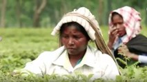 What tea garden workers are expecting from government?