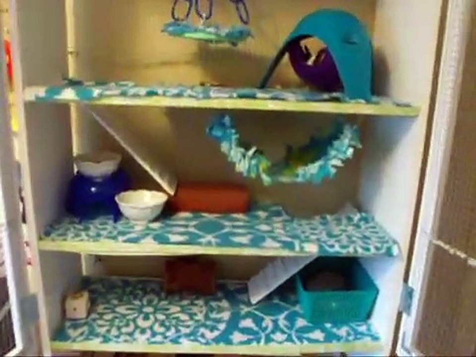 Diy Bookshelf Rat Cage Tour video Dailymotion