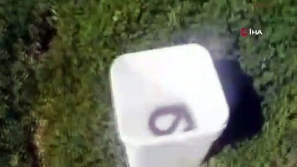 Otomobil içindeki yılan doğaya bırakıldı