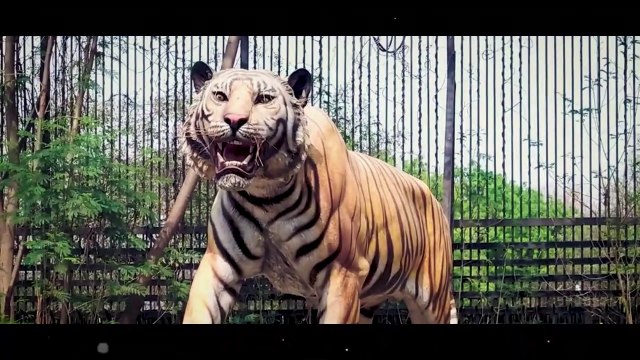 Delhi Zoo _ National zoological park delhi _ open now after lockdown _ April 2021