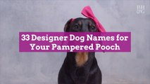 33 Designer Dog Names for Your Pampered Pooch