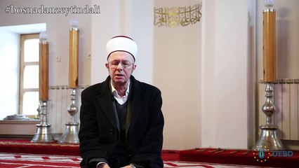 Bosna Hersek'ten Zeytin Dalı Harekatı'na destek