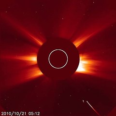 Adios Cometa / Goodbye comet