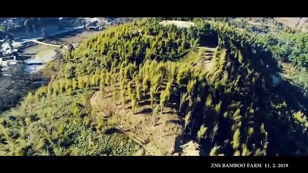 Osvaldo Rios-Shakira Bamboo