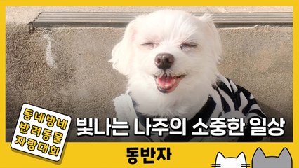[동반자] 너와 함께한 시간 모두 눈부셨다 (with 배나주) / YTN