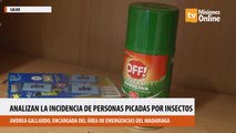 Analizan la incidencia de personas picadas por insectos