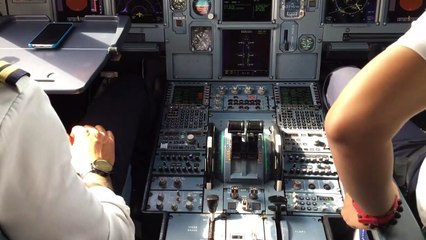 Diy Bamboo Arbor  Build Phase 1