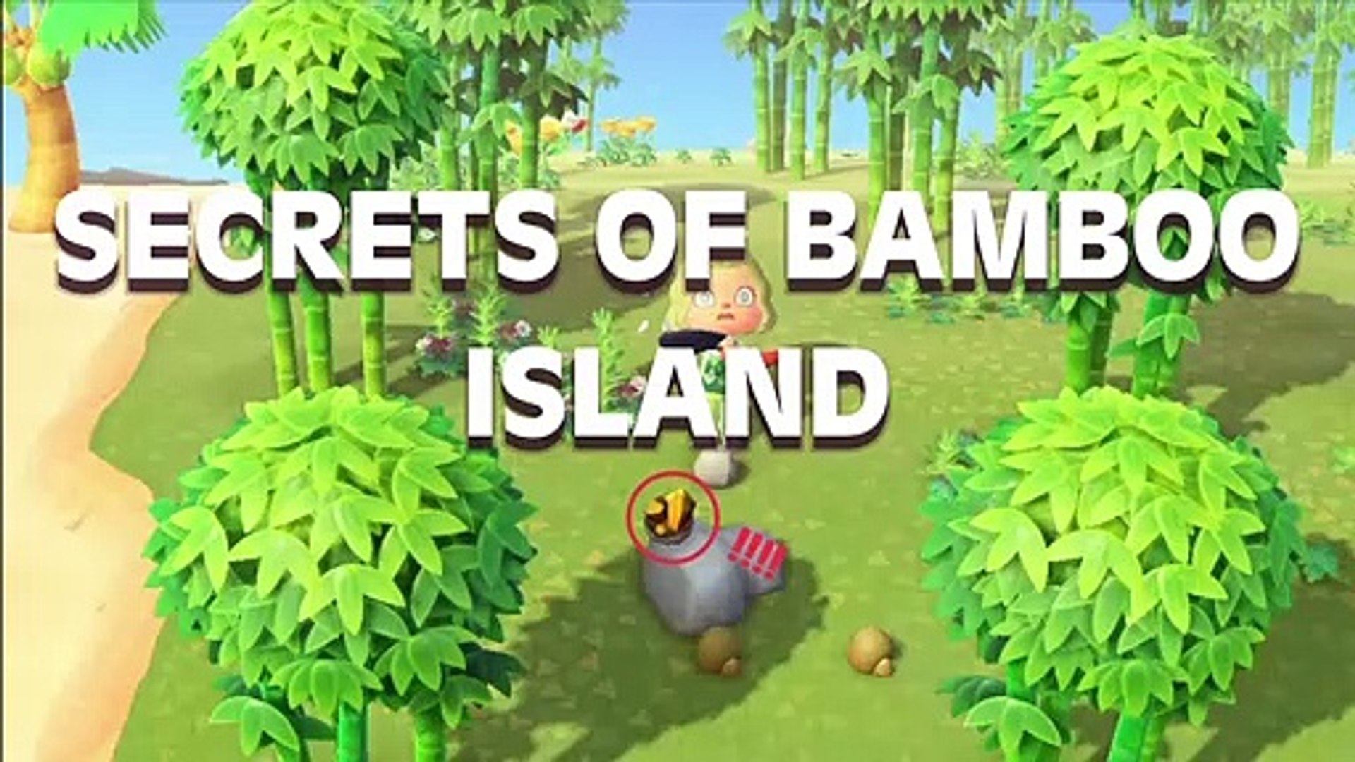 Secrets Of Bamboo Island! Animal Crossing New Horizons - video Dailymotion