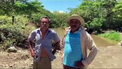 tn7-vecinos-peces-muertos-140421