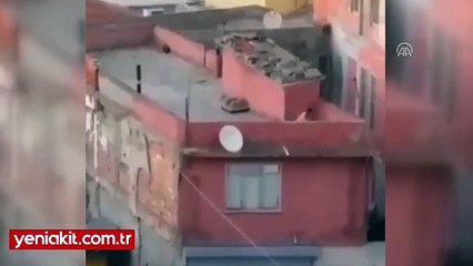 Köpeğe kemerle işkence kamerada!