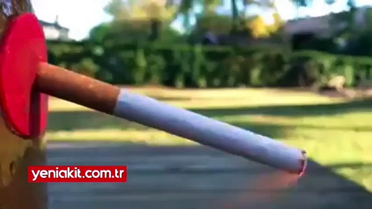 Sigaranın Zararlarını Gösteren Deney