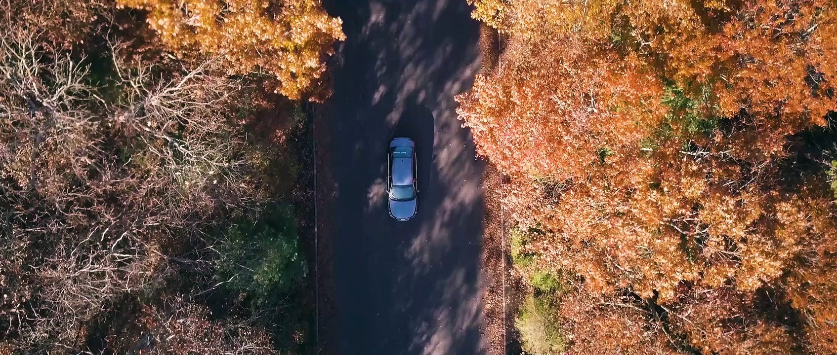 A Dream House Trailer