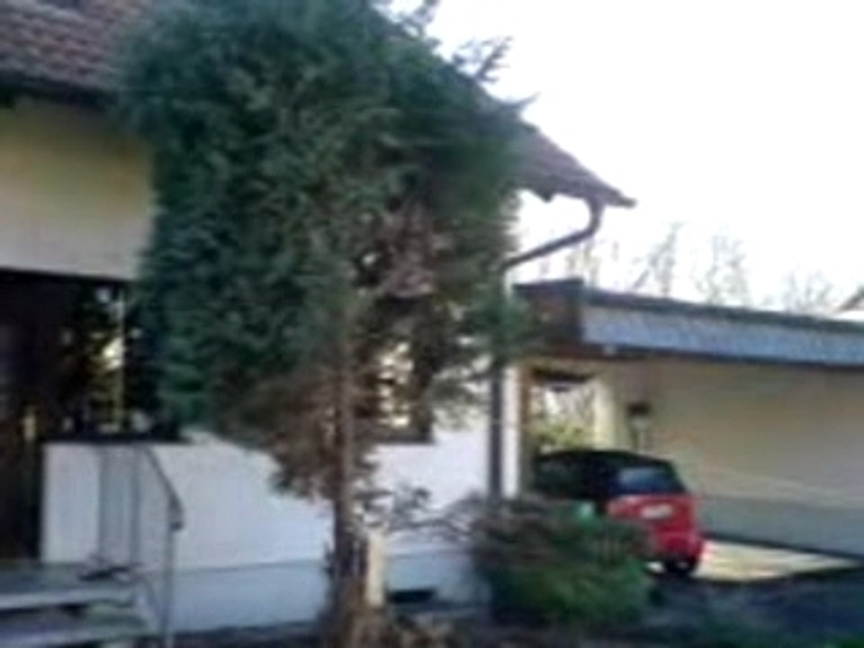 Mov00006