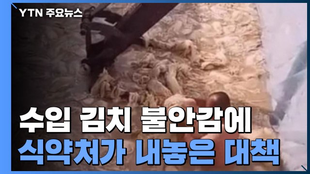 [현장영상] 모든 해외 김치 제조업소 현지실사 추진...수입 검사 강화 / YTN