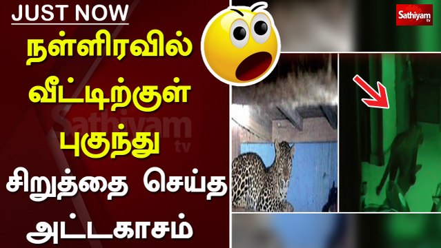 நள்ளிரவில் வீட்டிற்குள் புகுந்த சிறுத்தை செய்த அட்டகாசம்...! | Vellore |