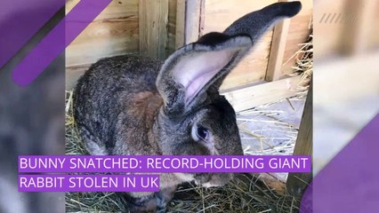 24/7 video newswire featuring breaking news, research, and entertainment.