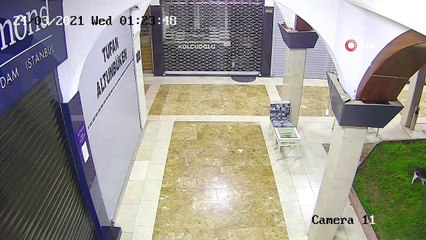 Yavrusuna saldıran 3 köpeği böyle kovaladı