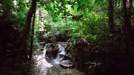 15 Minute Healing Music | Self-Love | Soothing | Meditation | Mindfulness | Study | Peaceful | Relaxing | Spa | Calming Down | Self-Esteem