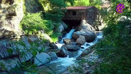15 Minute Positive Energy Music | Nature | Self-love | Relaxing | Calming down | Present Moment | Peaceful | Soothing