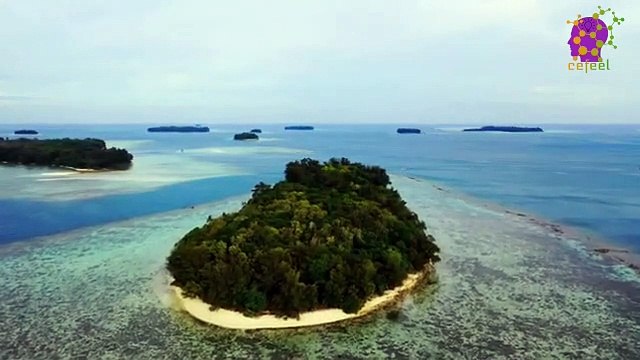 15 Minute Natural Relaxing Music | Instrumental | Peaceful | Calming | Soothing | Meditation | Mindfulness | Self-love | Positive Energy