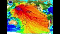 Fukushima 2018 Lo que todos tenemos que saber