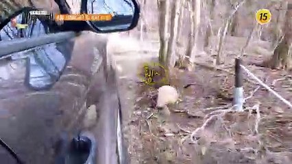 넘어 볼 맛 난다! 강원도 한계령 밥상_허영만의 백반기행 99회 예고 TV CHOSUN 210416 방송