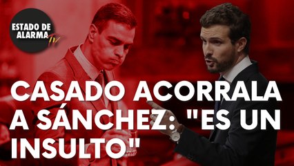 El líder del PP, Pablo Casado, acorrala a Sánchez en el Congreso: “Es un insulto…”