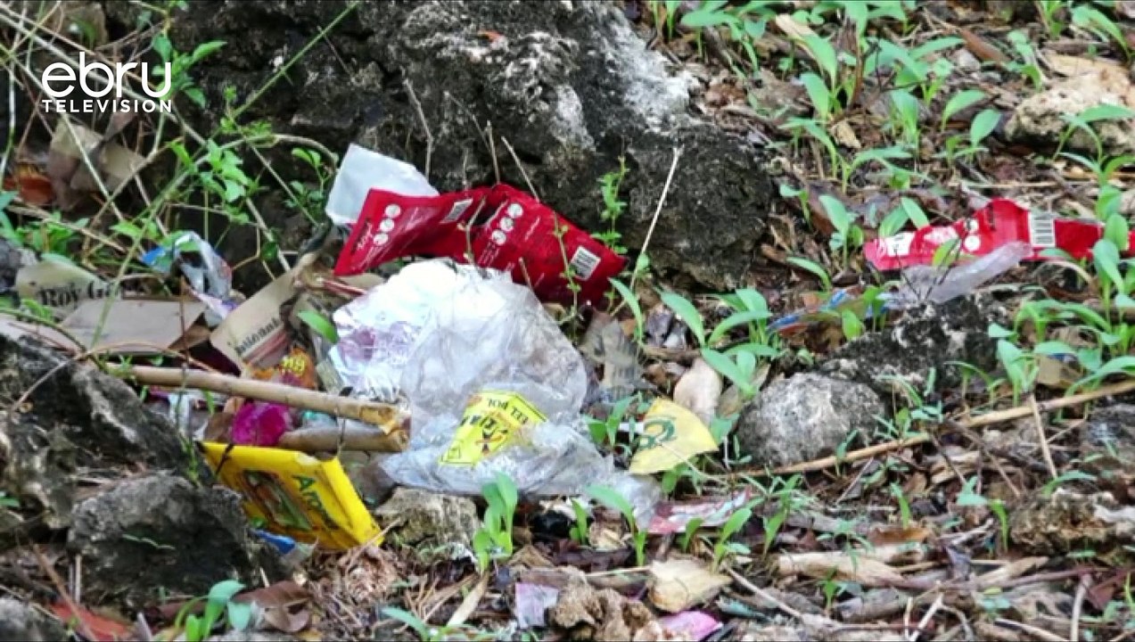 The Lost Malindi Paradise: Dumping Undermining...